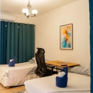 Luxury Apartment