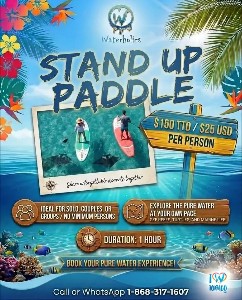 Stand Up Paddle