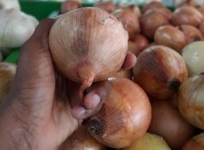 Onion
