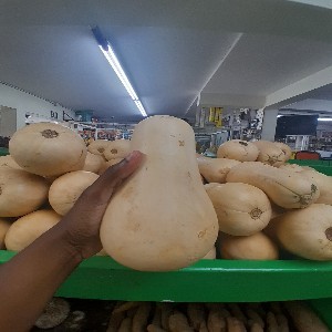 Butter Squash