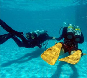 Two Tank Dives