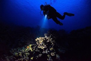 Night Dive