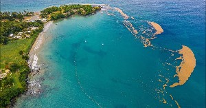 Standard Island Tour