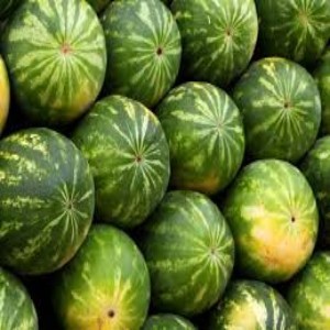 Watermelon