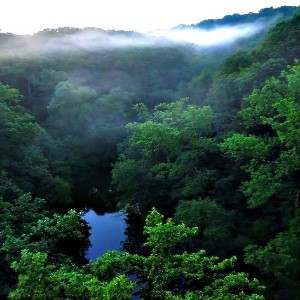 Premium Rainforest Tour
