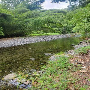 Premium Eco Hike