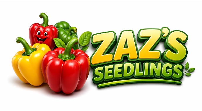 Zaz Seedlings