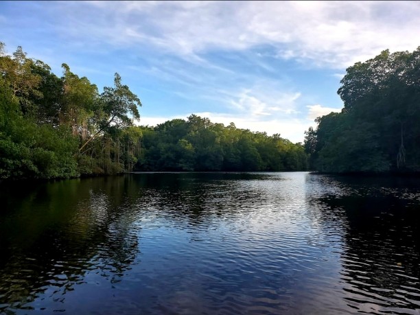 Tobago Wetlands and Culinary Experience