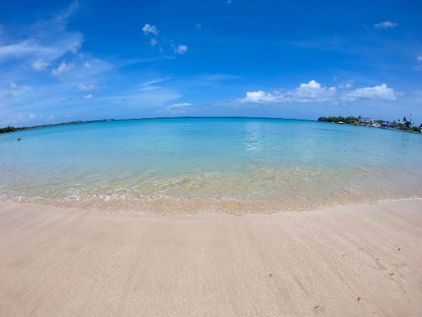 Buccoo Bay