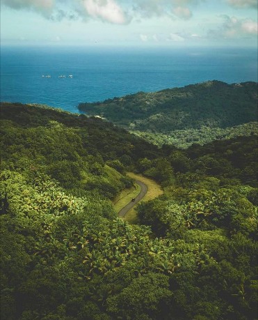 Island Tour