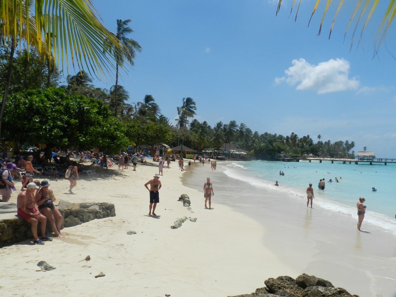 Buccoo Reef Barbeque Tour