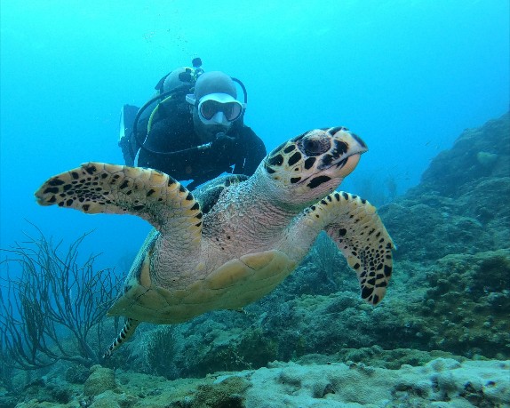 Snorkelling Expedition