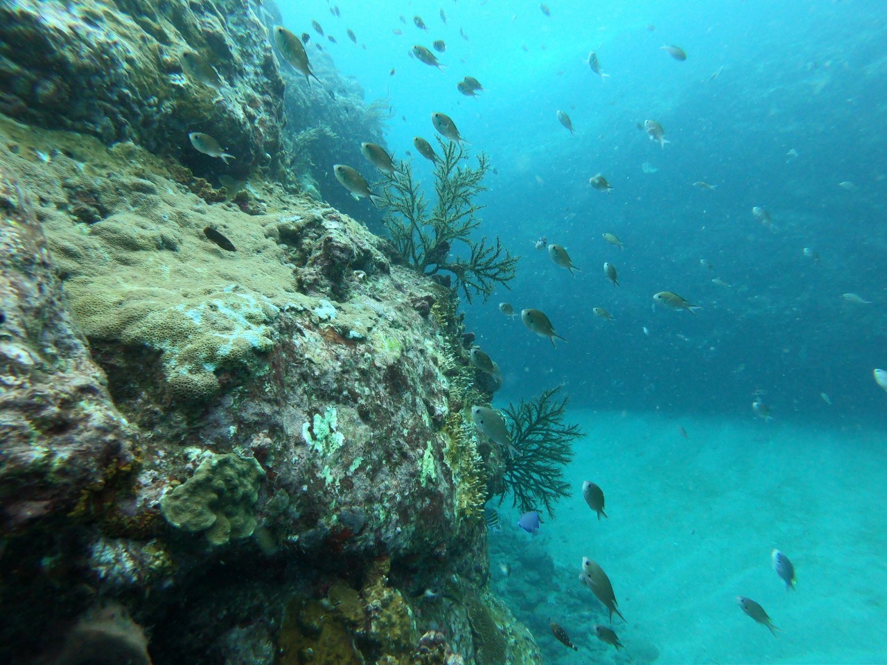Snorkelling Expedition