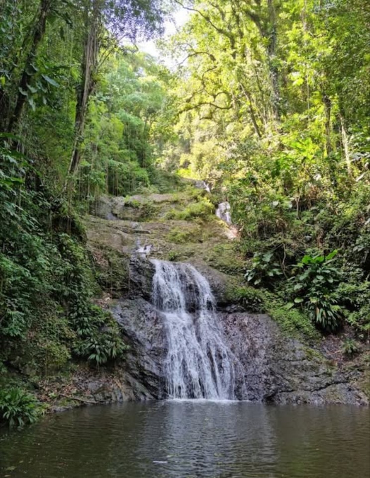 Eco Hike Tour