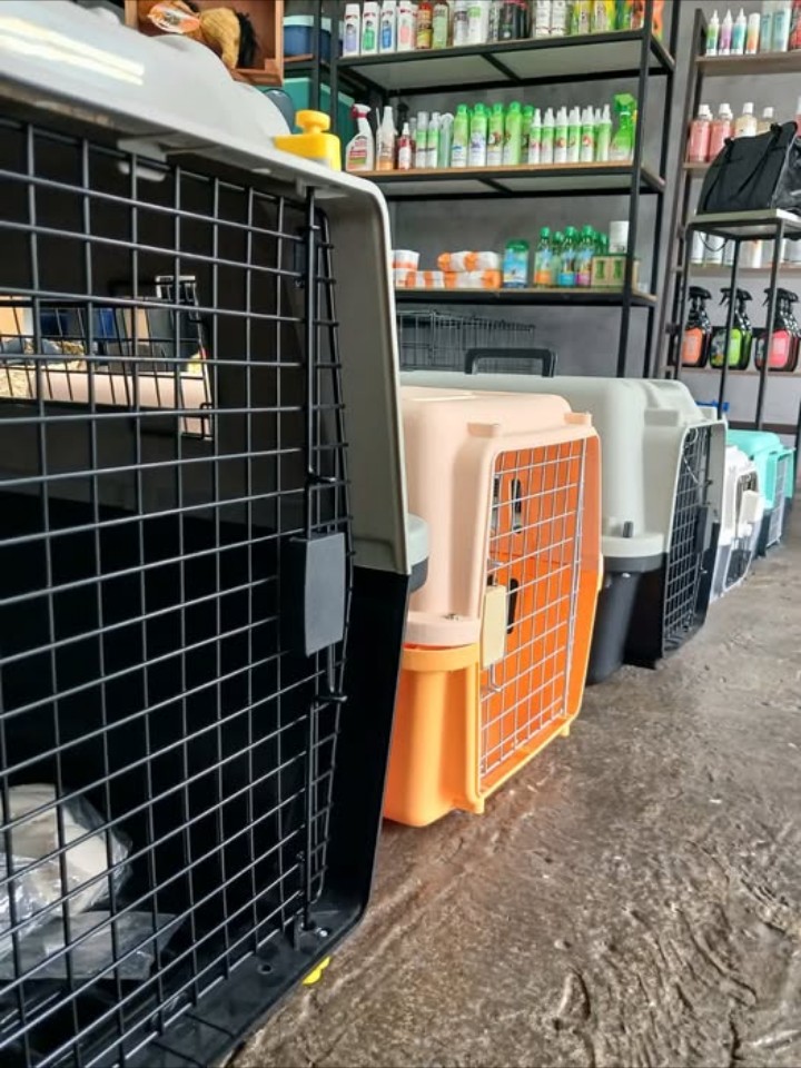 Healthy Pets