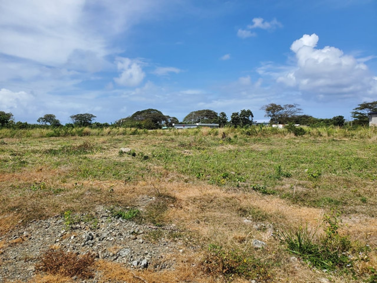 Island investment Ltd