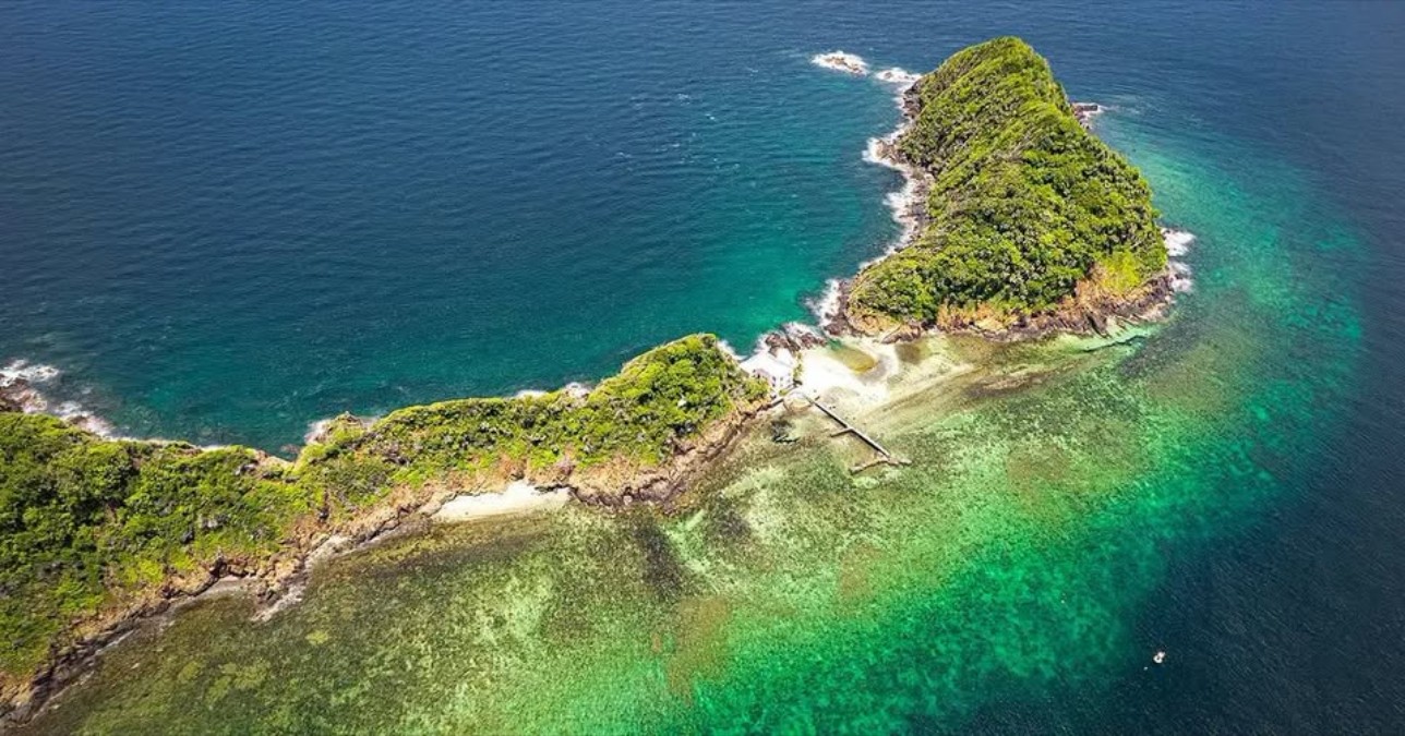 Goat Island