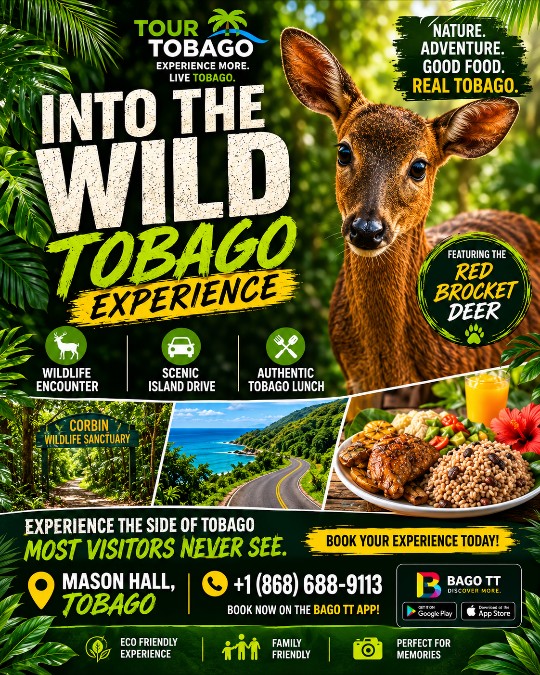 Discover the Wild Side of Tobago