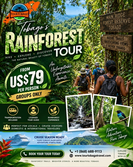 Rainforest Tour