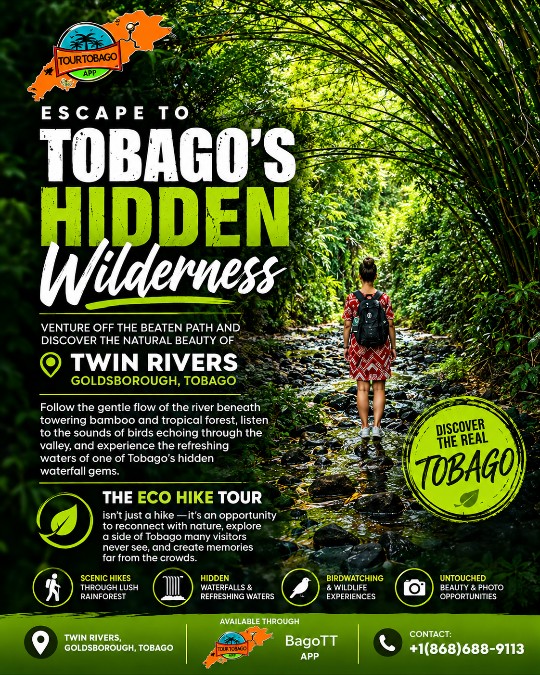 Discover Tobago Beyond the Beaches