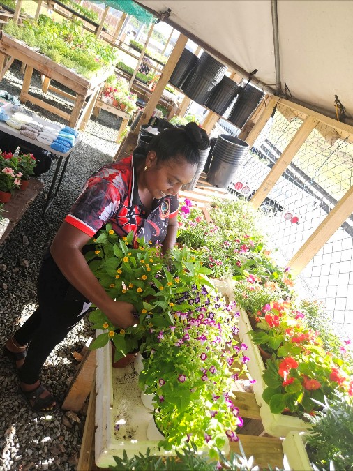 Give Your Garden Some Tobago Colour