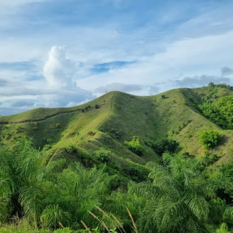 Meet Tobago’s Jesus Hill