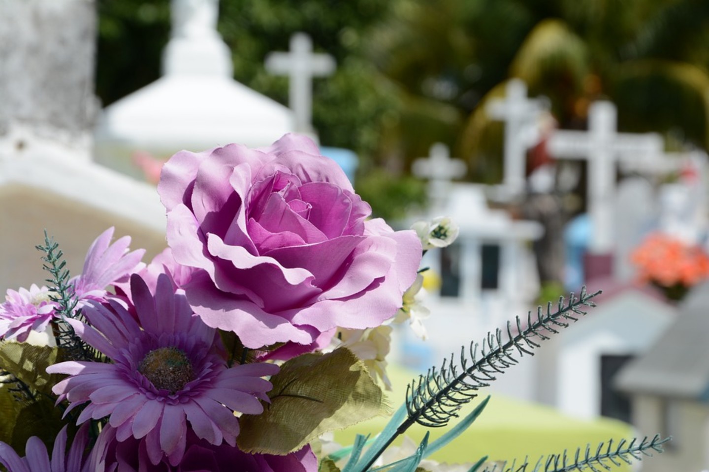 Divine Solace Funeral Home