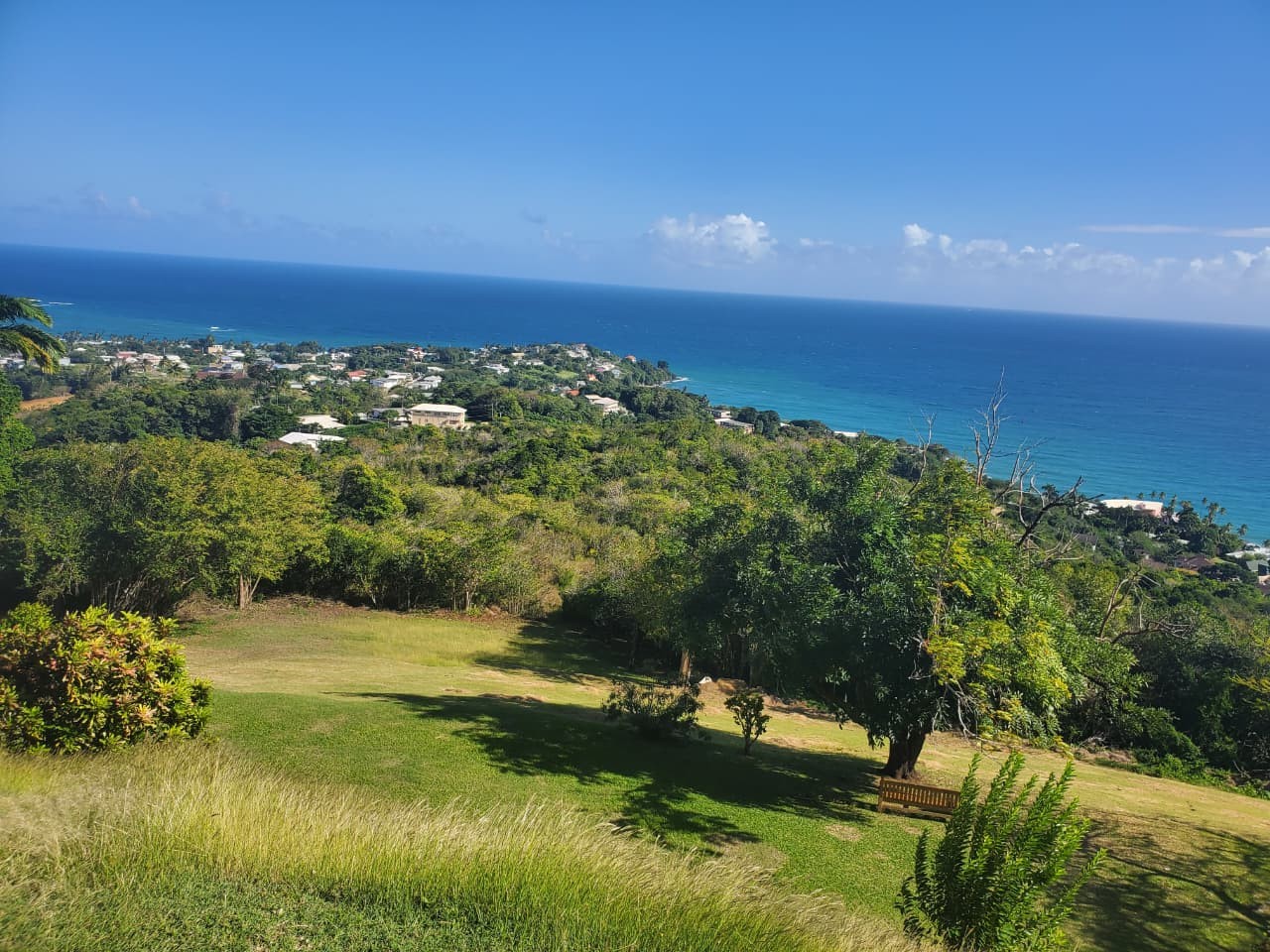Suzie's Island Tours