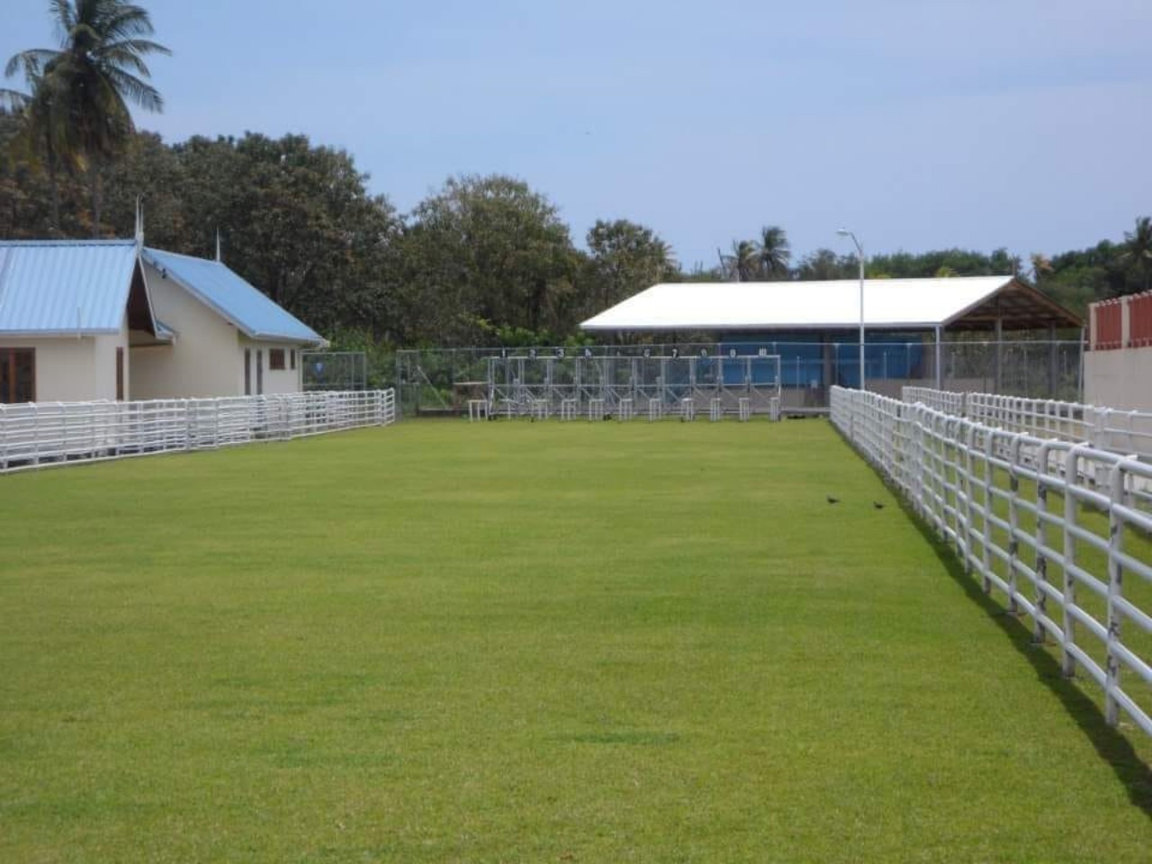 Tobago Goat Racing
