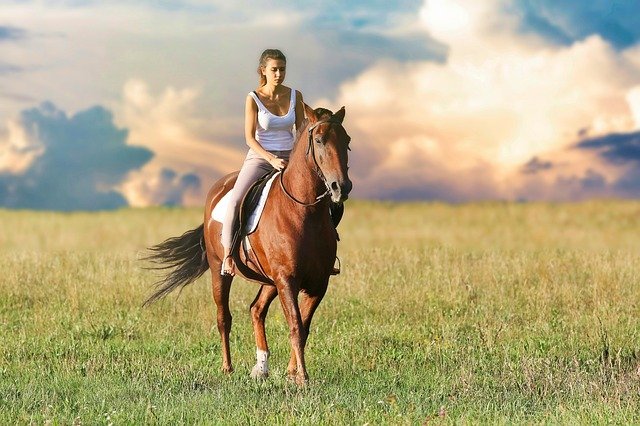Being-with-Horses