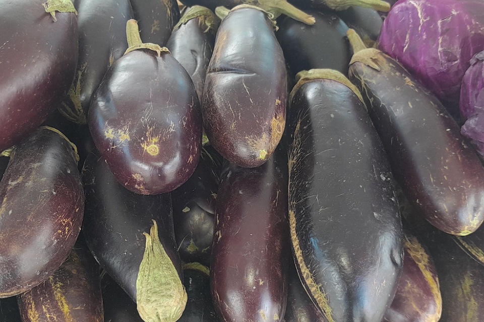 D Shark man fruits & Vegetables
