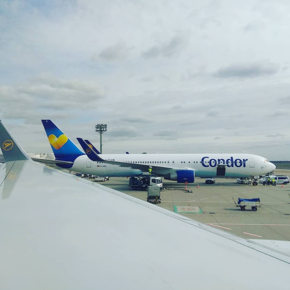 Condor