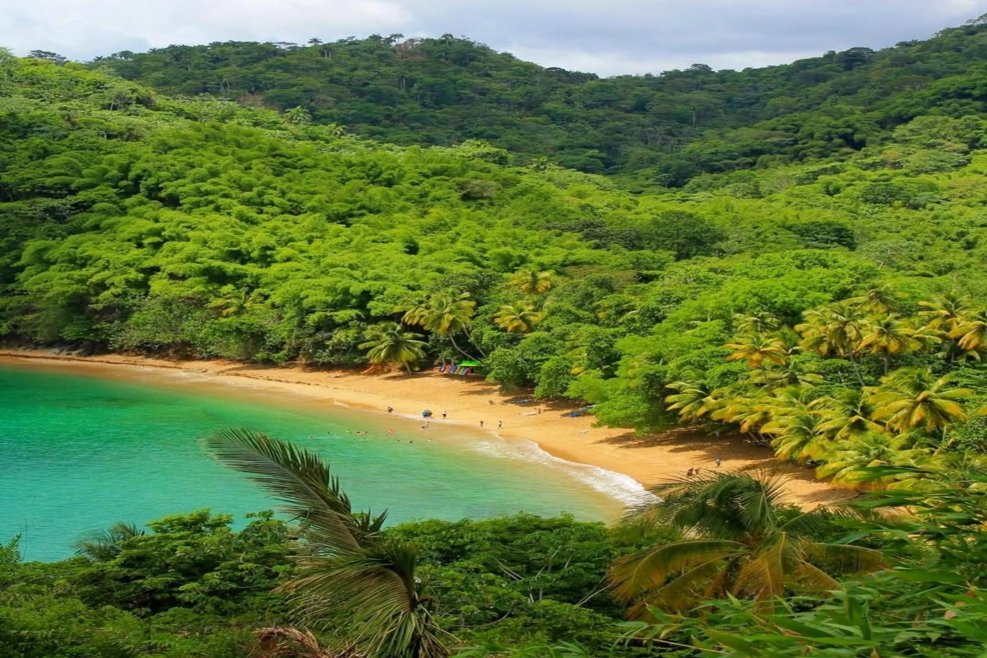 Englishman’s Bay