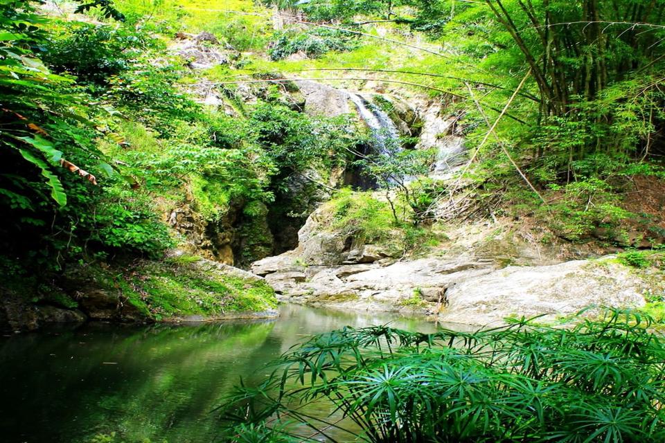 Half Day Waterfall Package
