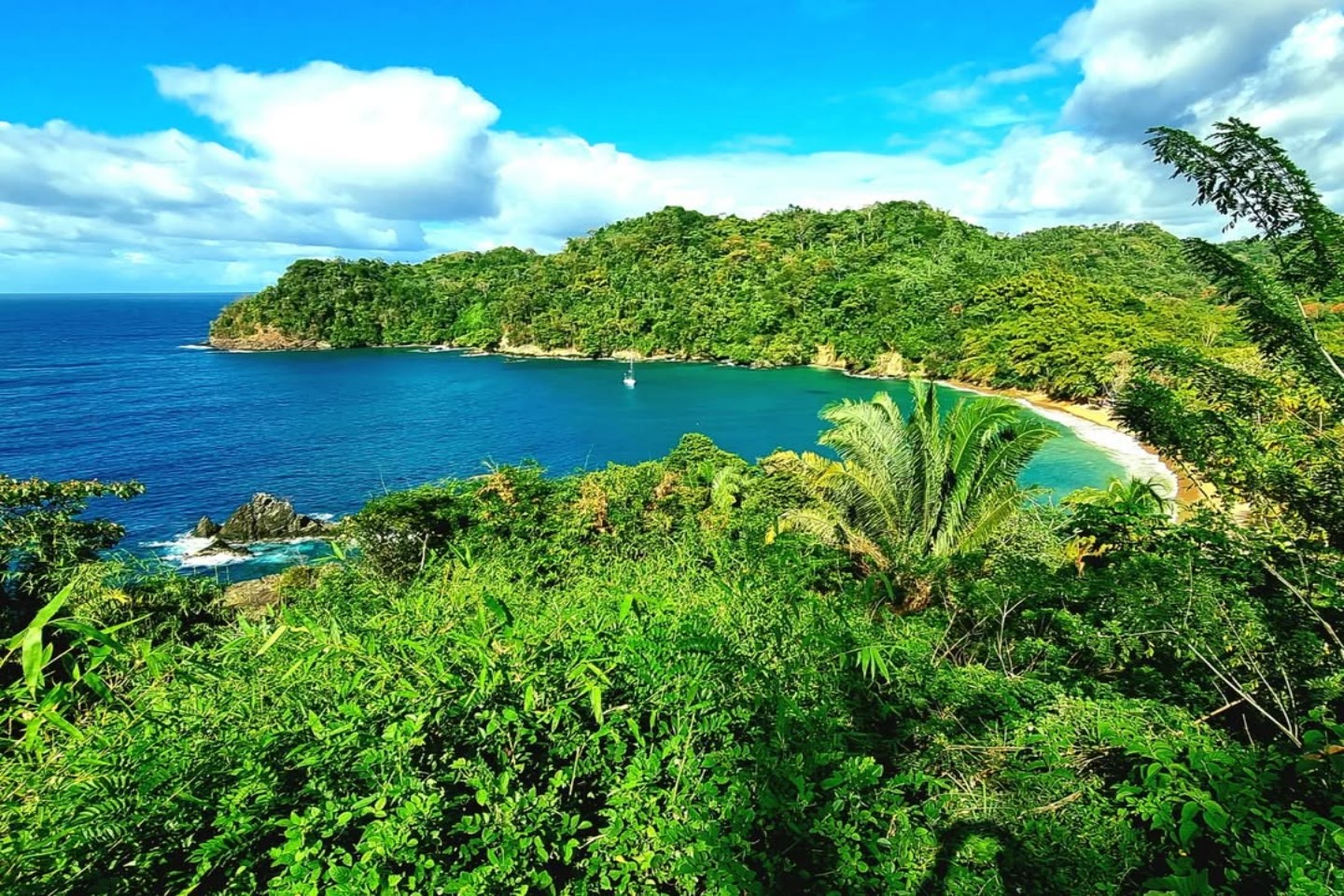 Englishman’s Bay