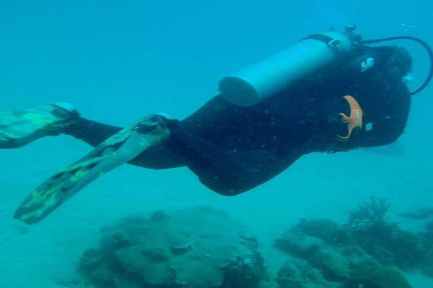 Tobago Frontier Divers & Water Sports Ltd