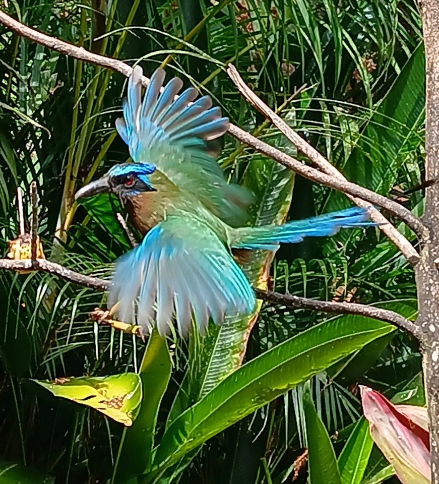 Adventure Farm and Nature Reserve