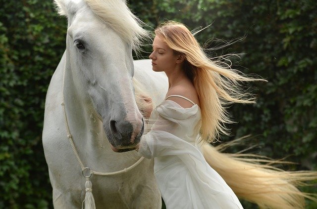 Being-with-Horses