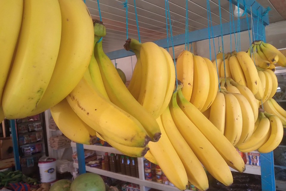 Alola's Vegetable Mart