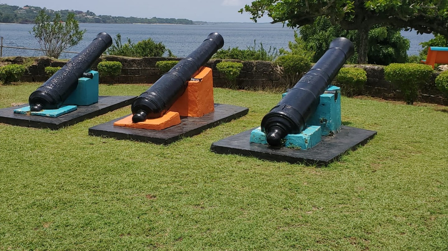 Suzie's Island Tours