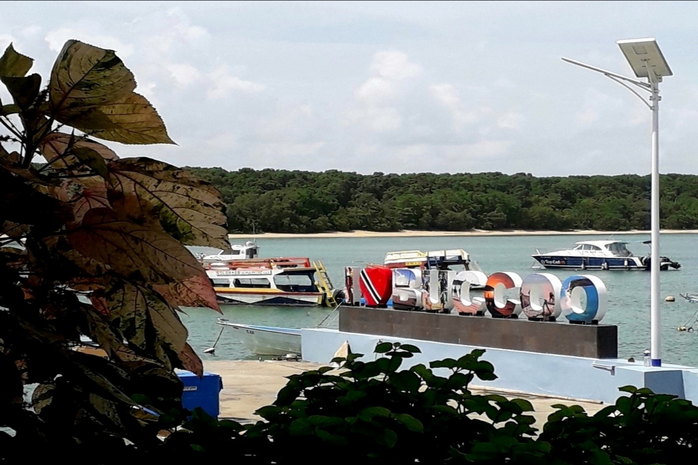 Buccoo Bay