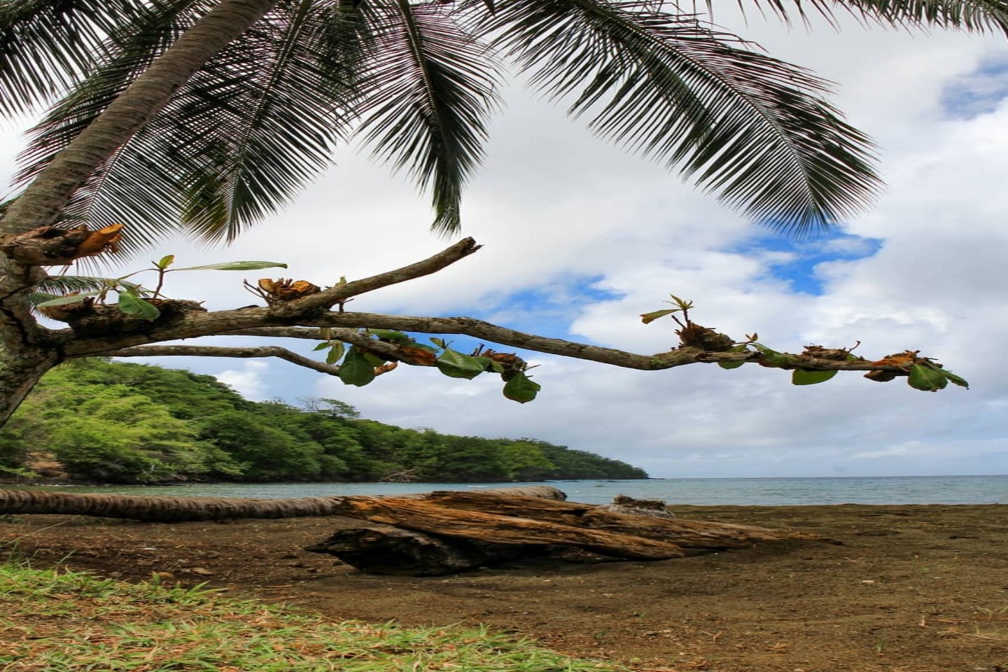King’s Bay