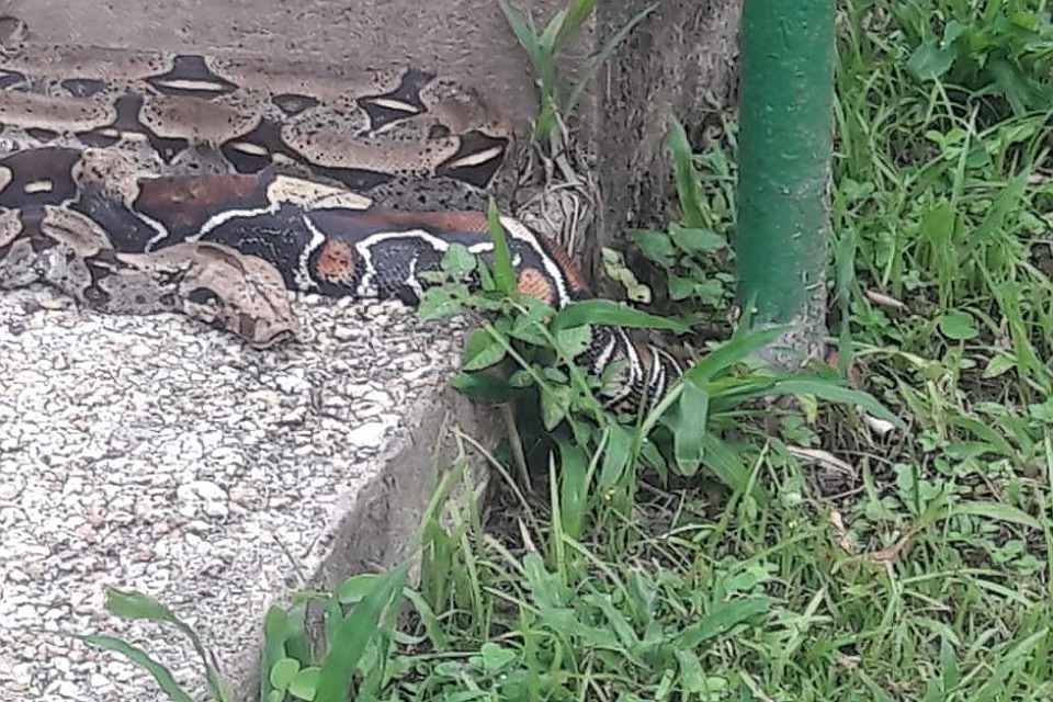 Trinidad Day Trip