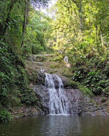 Eco Hike Tour
