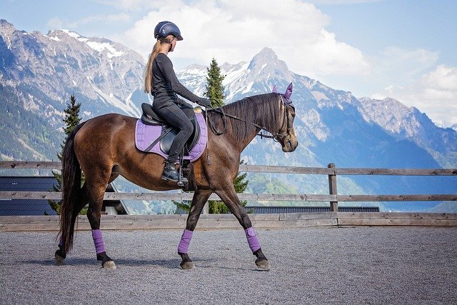 Therapeuthic riding