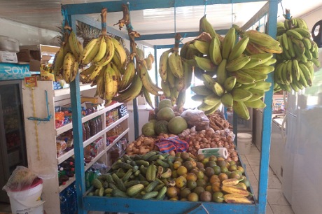 Alola's Vegetable Mart