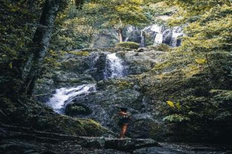 Half Day Waterfall Package