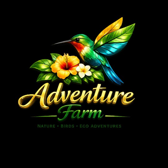 Adventure Farm and Nature Reserve