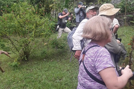 Trinidad Day Trip