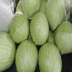 Cabbage
